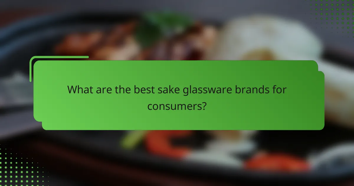 What are the best sake glassware brands for consumers?